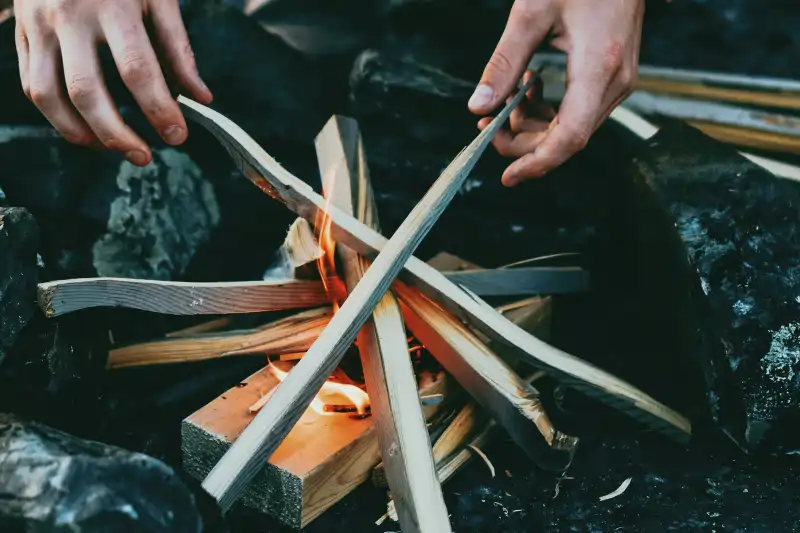 survival Survival